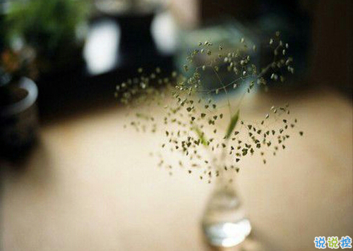 抖音朋友圈可愛說(shuō)說(shuō)大全帶圖片 搞怪女生說(shuō)說(shuō)超級(jí)獨(dú)特精辟2