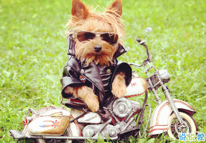 女人不花心，又怎么對(duì)得起貌美如花2