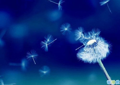 女生發(fā)朋友圈可愛搞怪的句子帶圖片 最新微信搞笑說(shuō)說(shuō)大全15