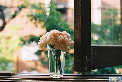 2019微信超文藝說說加配圖 很流行的文藝范經(jīng)典說說大全5