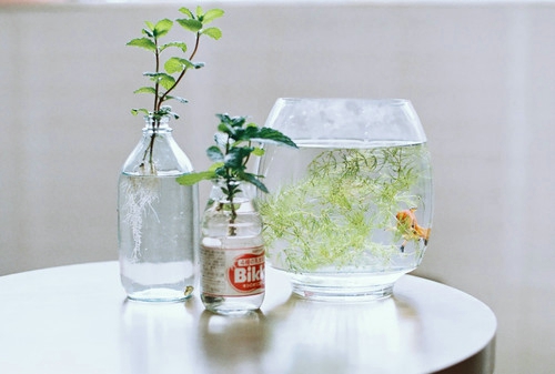 盤點周杰倫那些唱到我們內(nèi)心深處的歌詞帶圖片11