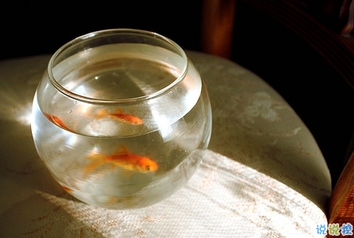 值得收藏的人生大道理勵志說說帶圖片 好聽的激勵人心的說說配圖15