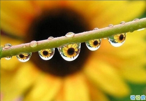 好聽的一句話愛情句子2019 傷感的愛情句子一句話簡單明了1