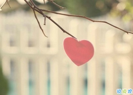 感悟生活的早安心情說說 陽光這么好別辜負了今天6