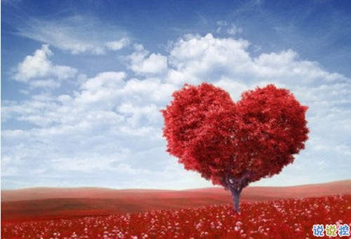 2019最新婦女節(jié)祝福語說說 38婦女節(jié)住所有女性節(jié)日快樂2