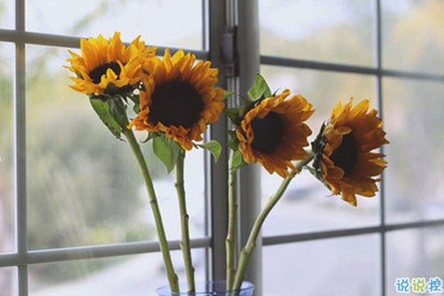 一個人掙扎的說說傷感心累帶圖片 睡不著心里不舒服的說說9