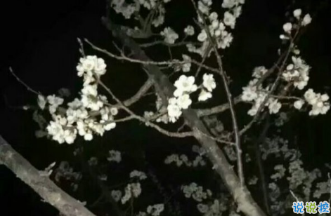 關(guān)于學(xué)習努力奮斗的說說致自己 提升自己的正能量說說激勵人心1