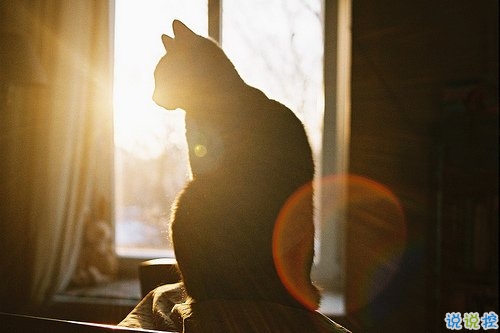 2019晚安勵(lì)志說(shuō)說(shuō)帶圖片 能夠給人安全感的句子經(jīng)典勵(lì)志6