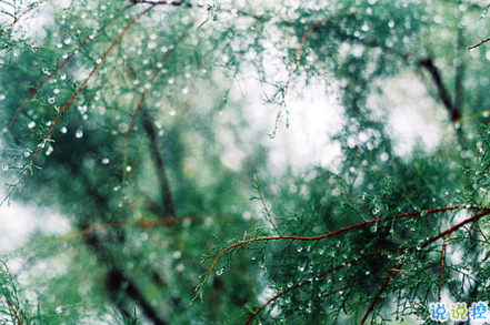 感悟很深的經(jīng)典句子大全 人生最深刻的道理句句穿心2