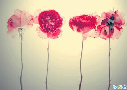 2019春分適合發(fā)朋友圈的說說句子帶圖片 今日春分早安經(jīng)典說說8