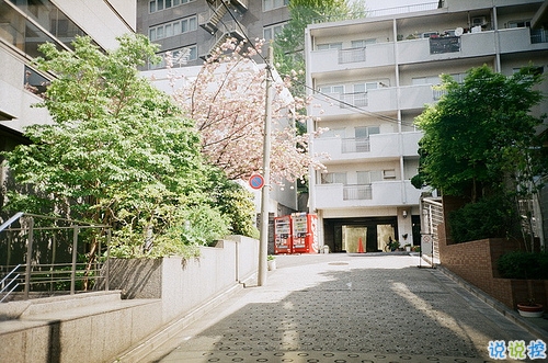 鼓舞人心的經(jīng)典說說帶圖片 朋友圈點贊超多的經(jīng)典說說15