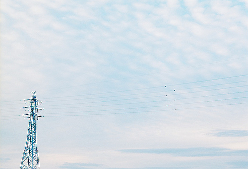 適合喜歡一個(gè)人時(shí)發(fā)的甜蜜愛情說說帶圖片 ?有你有我有吃的就又是美好的一天9