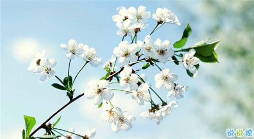 qq說說春天唯美小清新 春天的唯美短句子說說2