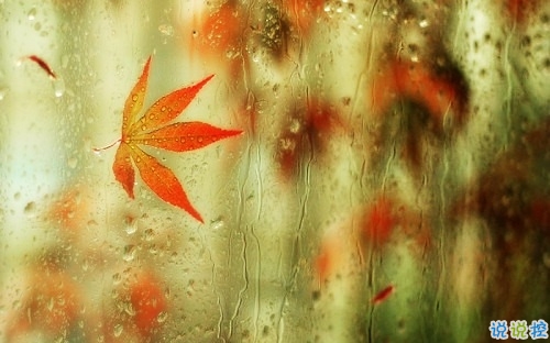 心情郁悶的傷感說(shuō)說(shuō)帶圖片 夜里睡不著覺(jué)的傷感心情說(shuō)說(shuō)配圖5