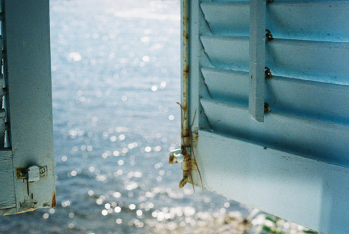 90后00后必看的關于人生和如何慢慢成熟的哲理句子1