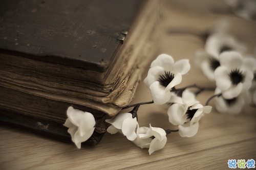 最新適合畢業(yè)季發(fā)的說(shuō)說(shuō)帶圖片 時(shí)光不老我們不散8