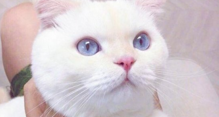 那些讓人捧腹大笑的搞笑職場(chǎng)生活說說帶圖 發(fā)呆是每個(gè)上班族的心愿6