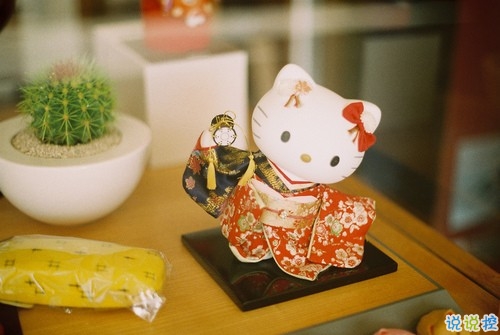 文字控喜歡的溫暖治愈文藝說說帶圖片 想跌進你的懷里把夏天帶給你7