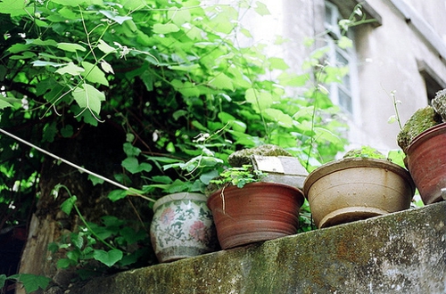 喜歡一個人時的甜蜜心情愛情說說帶圖片13