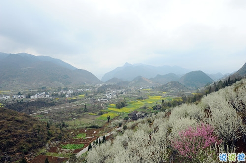 每天一句正能量的句子勵(lì)志向上 全新的元?dú)鉂M(mǎn)滿(mǎn)的勵(lì)志說(shuō)說(shuō)2