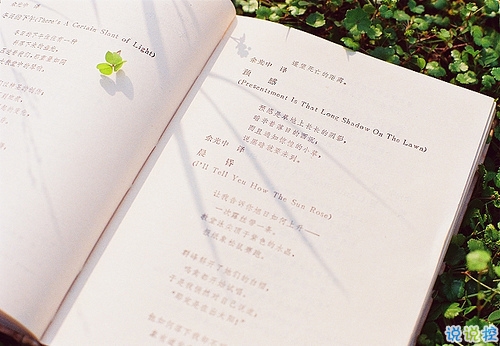 最新適合畢業(yè)季發(fā)的說(shuō)說(shuō)帶圖片 時(shí)光不老我們不散7