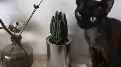 忽而夏至的悲傷日記的傷感說(shuō)說(shuō)配圖 你最美的青春都在陪他吃苦13