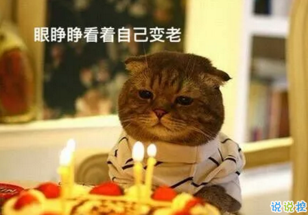 祝自己生日快樂的話搞笑圖片 發(fā)朋友圈表達(dá)自己生日搞笑個(gè)性說(shuō)說(shuō)20189
