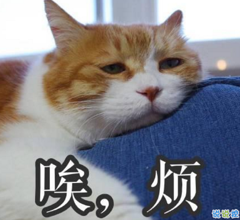 學(xué)生黨有趣圖片帶搞笑個性說說 你體驗過暴瘦的滋味嗎6