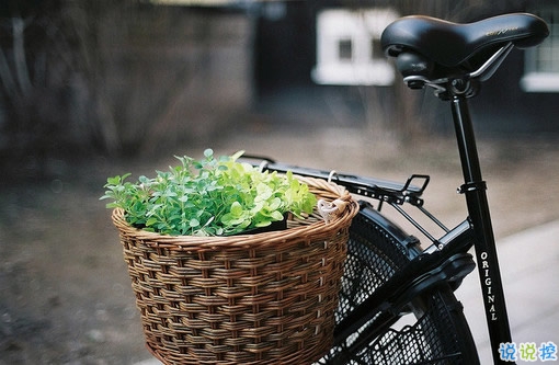 2018點(diǎn)贊最多的說(shuō)說(shuō)加圖片：速熱的人也速凍，熱鬧的人易散場(chǎng)14