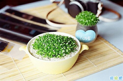 戀愛中的甜蜜溫暖小情緒說說帶圖片 跨越大半個地球與你相見3