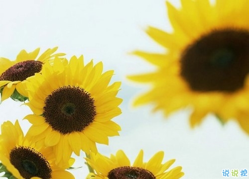 朋友圈吸引人的經(jīng)典說說帶圖片2019精選 看似簡單其實很具意義的句子13