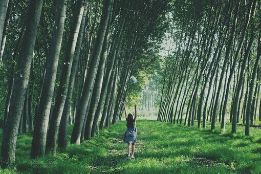 那些愛(ài)而不得的心酸和傷感圖片句子 似曾已看過(guò)極光海洋和彩虹16