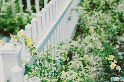 朋友圈吸引人的經(jīng)典說說帶圖片2019精選 看似簡單其實很具意義的句子3