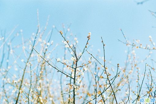 女生霸氣說(shuō)說(shuō)很犀利毒舌 一句話朋友圈霸氣說(shuō)說(shuō)2