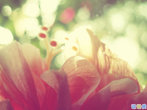 獨(dú)一無(wú)二的qq個(gè)性說(shuō)說(shuō)帶圖片 充滿陽(yáng)光的經(jīng)典說(shuō)說(shuō)20191