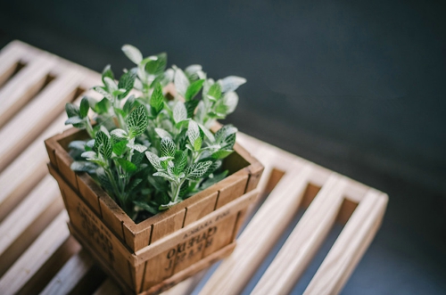 甜蜜浪漫情話(huà)只想說(shuō)給你聽(tīng)的說(shuō)說(shuō)帶圖片 想化作一陣風(fēng)輕柔的撫過(guò)你10