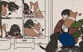 關(guān)于一輩子的愛(ài)情甜蜜說(shuō)說(shuō)配圖 我會(huì)讓我的愛(ài)陪你慢慢的老去6