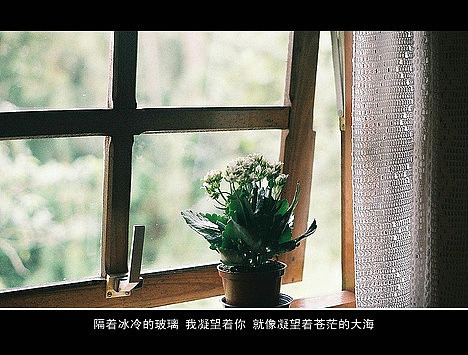 超傷感難過(guò)悲傷的愛(ài)情說(shuō)說(shuō) 你是我枯水年紀(jì)里的一場(chǎng)雨12