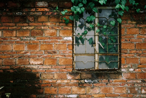 關(guān)于愛(ài)情的簡(jiǎn)單有哲理的句子帶圖片 不要貪心找到那個(gè)對(duì)的人就第一時(shí)間決定吧7