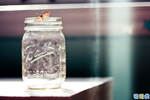 女生傷感心痛到窒息的圖片句子 所有的悲歡都是我一個(gè)人的灰燼8