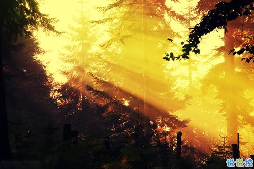 女生跟男朋友撒嬌的說說帶圖片 女生寫給男生的可愛情話10