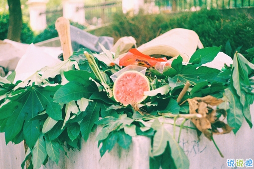 很經(jīng)典精辟的蔡康永經(jīng)典語(yǔ)錄 簡(jiǎn)單一句話中蘊(yùn)含著大智慧的句子1