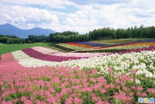 2019女生節(jié)微信說(shuō)說(shuō)大全帶圖片 三七女生節(jié)朋友圈祝福語(yǔ)說(shuō)說(shuō)14