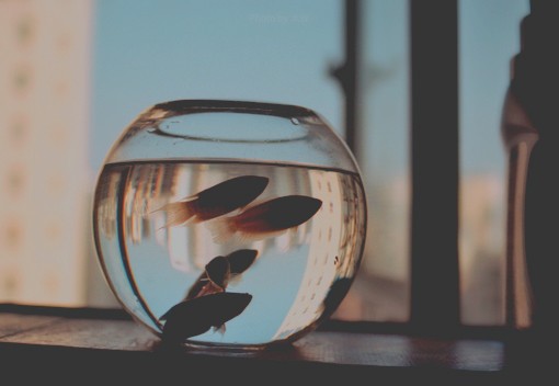 那些愛(ài)而不得的心酸和傷感圖片句子 似曾已看過(guò)極光海洋和彩虹9