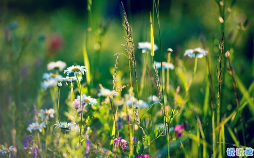 朋友圈個性說說簡單一句話 趁著年輕把能干的壞事干了吧1