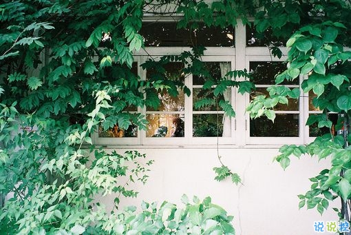 一個(gè)人獨(dú)處時(shí)候的孤獨(dú)是什么感覺(jué)呢？6