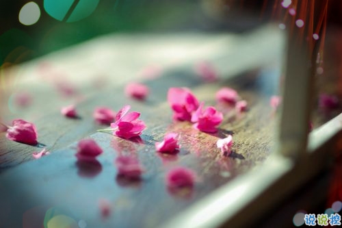 女生跟男朋友撒嬌的說說帶圖片 女生寫給男生的可愛情話13