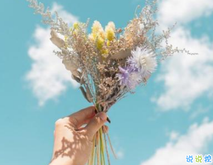 表白小情話最用心也是最走心的 成功率99%的告白情話合集2