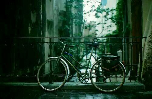 關(guān)于愛(ài)情的簡(jiǎn)單有哲理的句子帶圖片 不要貪心找到那個(gè)對(duì)的人就第一時(shí)間決定吧13