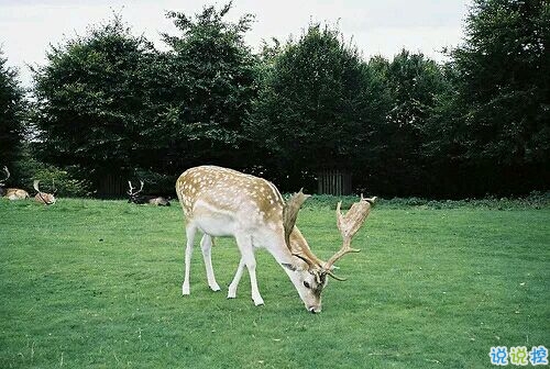 帶圖片的勵(lì)志說說人生感悟 別辜負(fù)了你的野心也別對(duì)不起你受的苦14